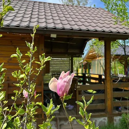 Holiday home Laguna