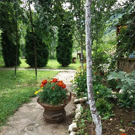 Laguna Holiday home *